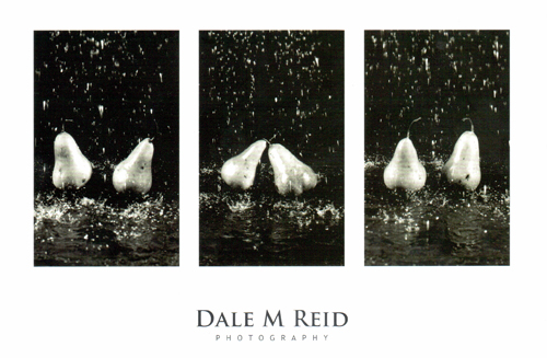 Dale M. Reid Photography - post card