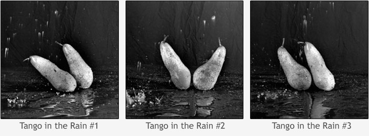 Dale M. Reid Photography - Tango in the Rain #1/ #2 #3