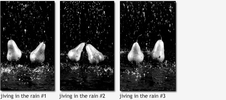 Dale M. Reid Photography - Jiving in the Rain
